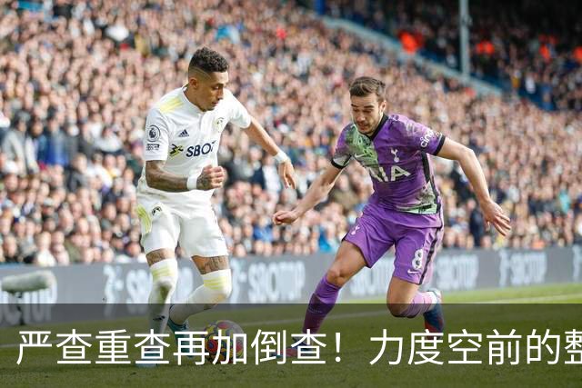 严查重查再加倒查！力度空前的整治行动，到底要查什么？
