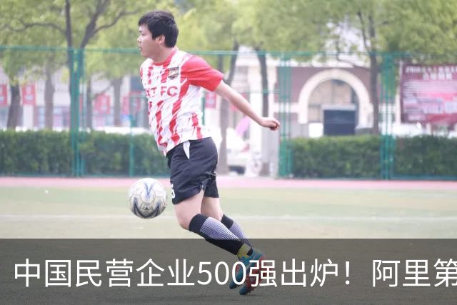 中国民营企业500强出炉！阿里第二，华为仅次于第三，第一名呢？