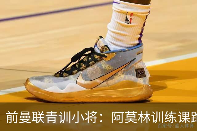 前曼联青训小将：阿莫林训练课跑动量更大，卡里克则侧重技战术