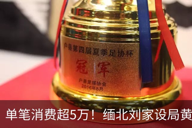 单笔消费超5万！缅北刘家设局黄赌毒“收割”金主