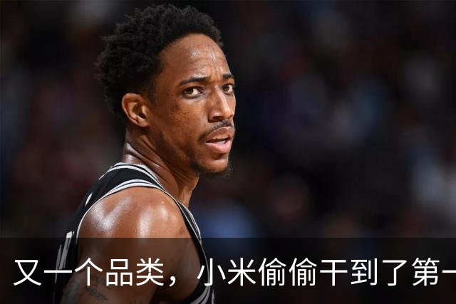 又一个品类，小米偷偷干到了第一名！