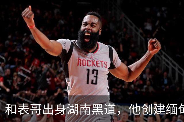 和表哥出身湖南黑道，他创建缅甸KK园区，表哥成大佬司机娶小燕子