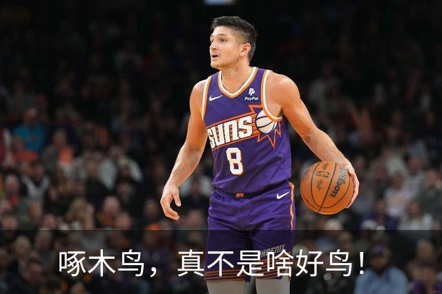 啄木鸟，真不是啥好鸟！