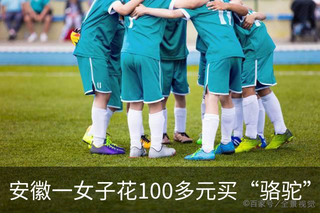安徽一女子花100多元买“骆驼”冲锋衣，收到货一看，logo竟是一头咧着嘴笑的驴！有人质疑这是擦边，商家：商标已注册，不要只看图片外观