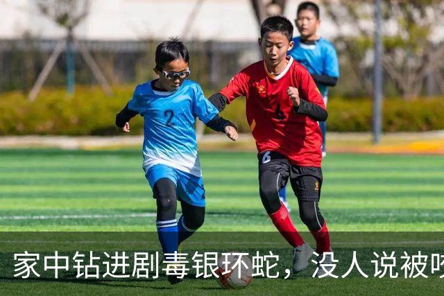 家中钻进剧毒银环蛇，没人说被咬，救助人员离开后发现不对劲打电话叫住正要睡的居民发现他已被蛇咬：如果没发现，他睡过去可能就死了