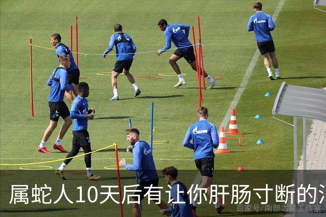 属蛇人10天后有让你肝肠寸断的消息传来