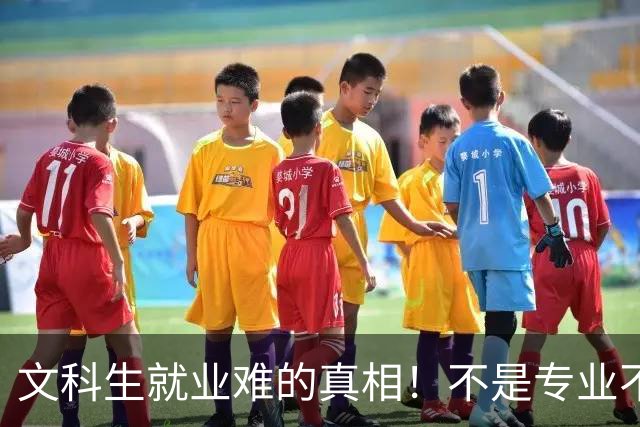 文科生就业难的真相！不是专业不行，是大学四年全都走错了