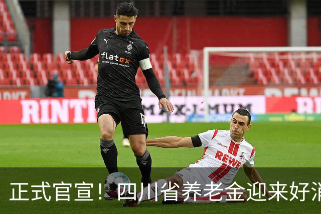正式官宣！四川省养老金迎来好消息，每月普涨30元，80岁以上增发