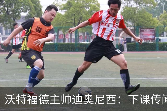 沃特福德主帅迪奥尼西：下课传闻是"假新闻"