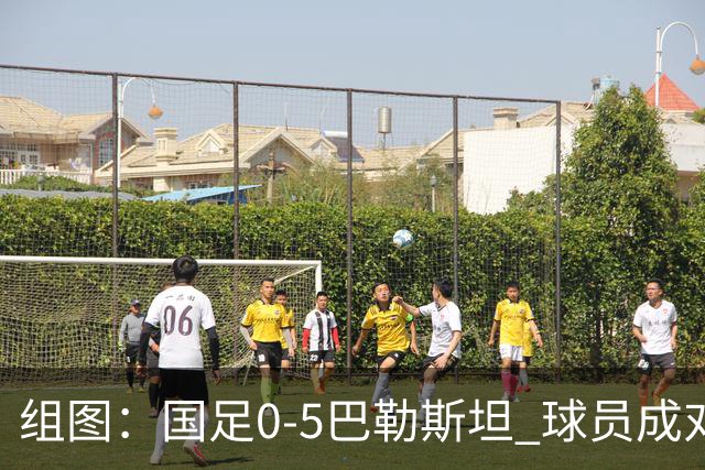 组图：国足0-5巴勒斯坦 球员成对手狂欢背景板