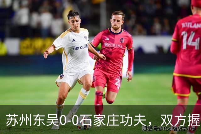 苏州东吴0-0石家庄功夫，双方握手言和