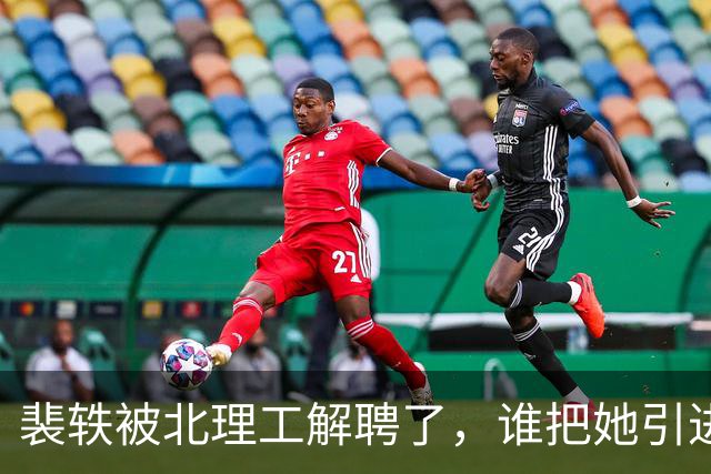裴轶被北理工解聘了，谁把她引进来的还没搞清楚？她背后又有哪些人？